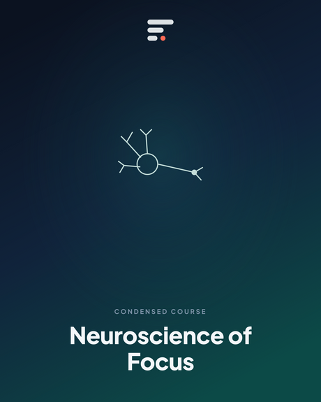 Neuroscience of Focus — Gist Library
