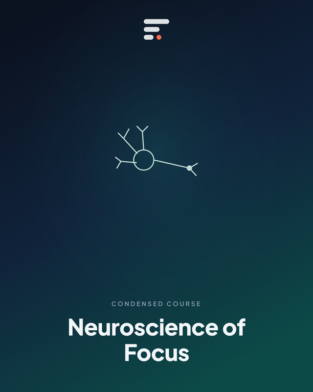 Neuroscience of Focus — Gist Library